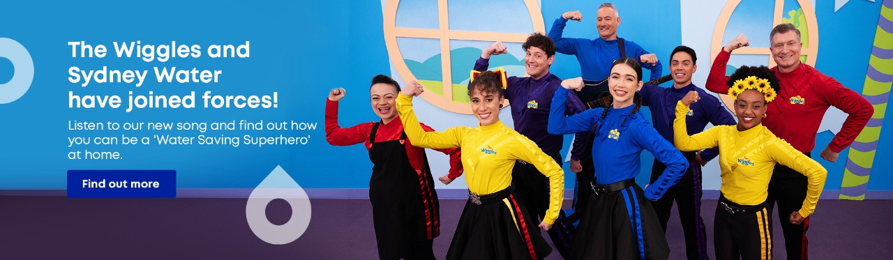 The Wiggles Water Saving Superheroes